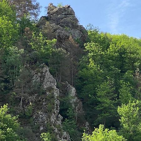 Duplex Roca Del Sucut Daire Ribes De Freser Dış mekan fotoğraf
