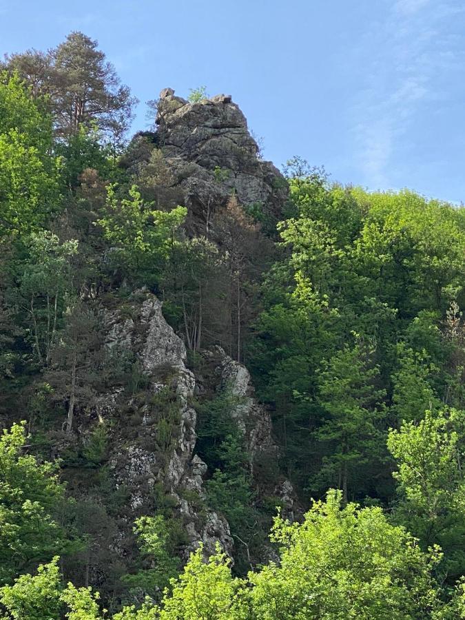 Duplex Roca Del Sucut Daire Ribes De Freser Dış mekan fotoğraf